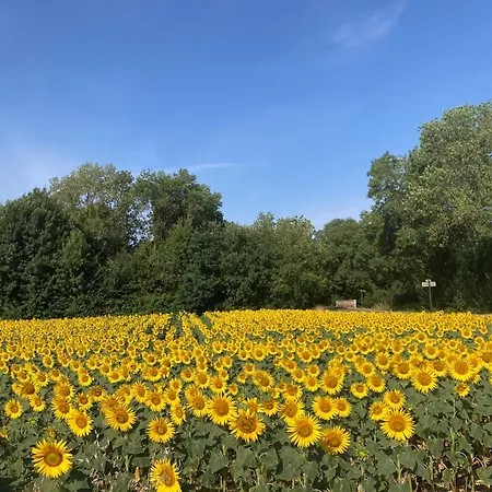 Holiday home Handsome House Longre